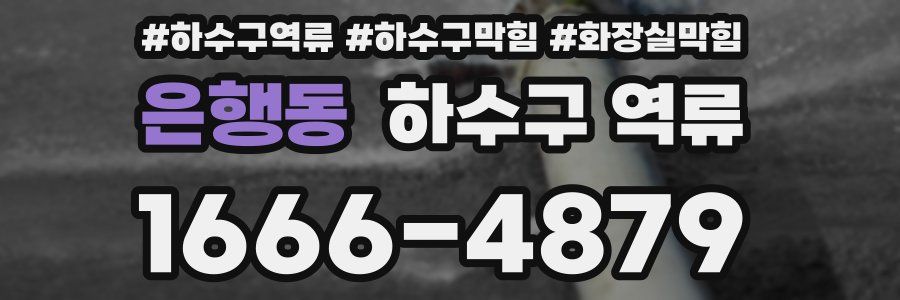 은행동 하수구 역류