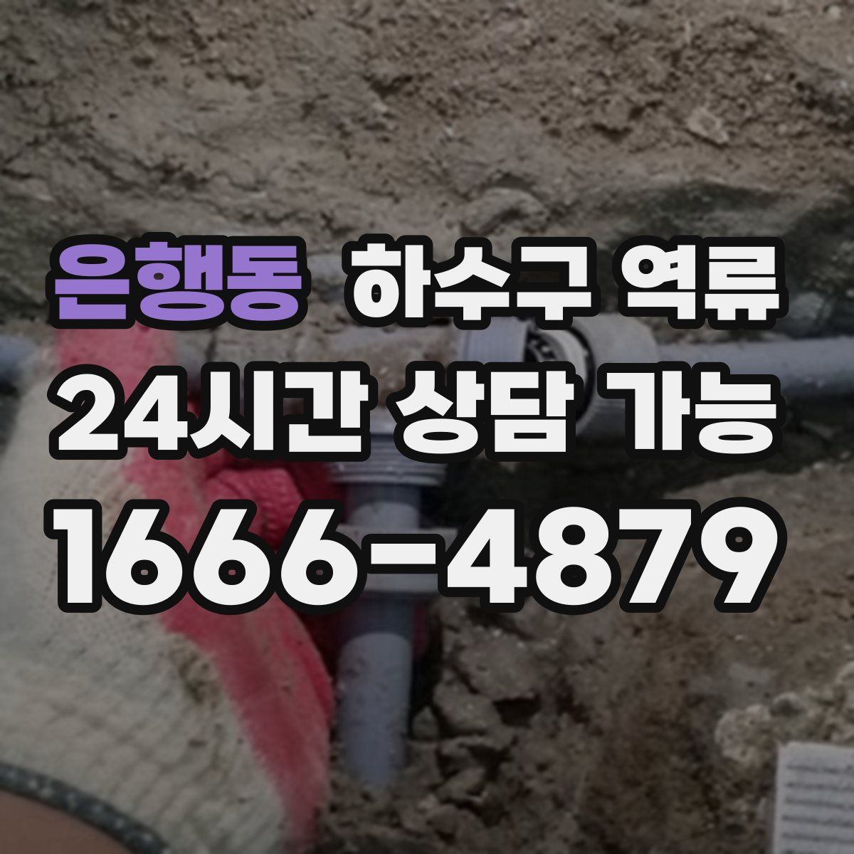 은행동 하수구 역류