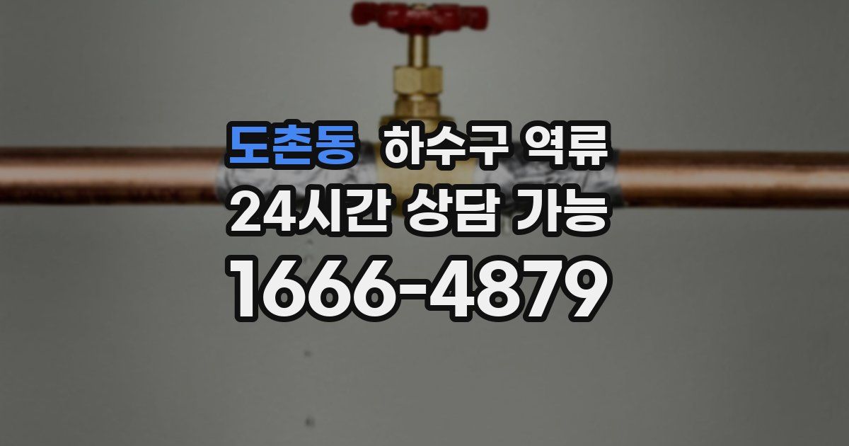 도촌동 하수구 역류