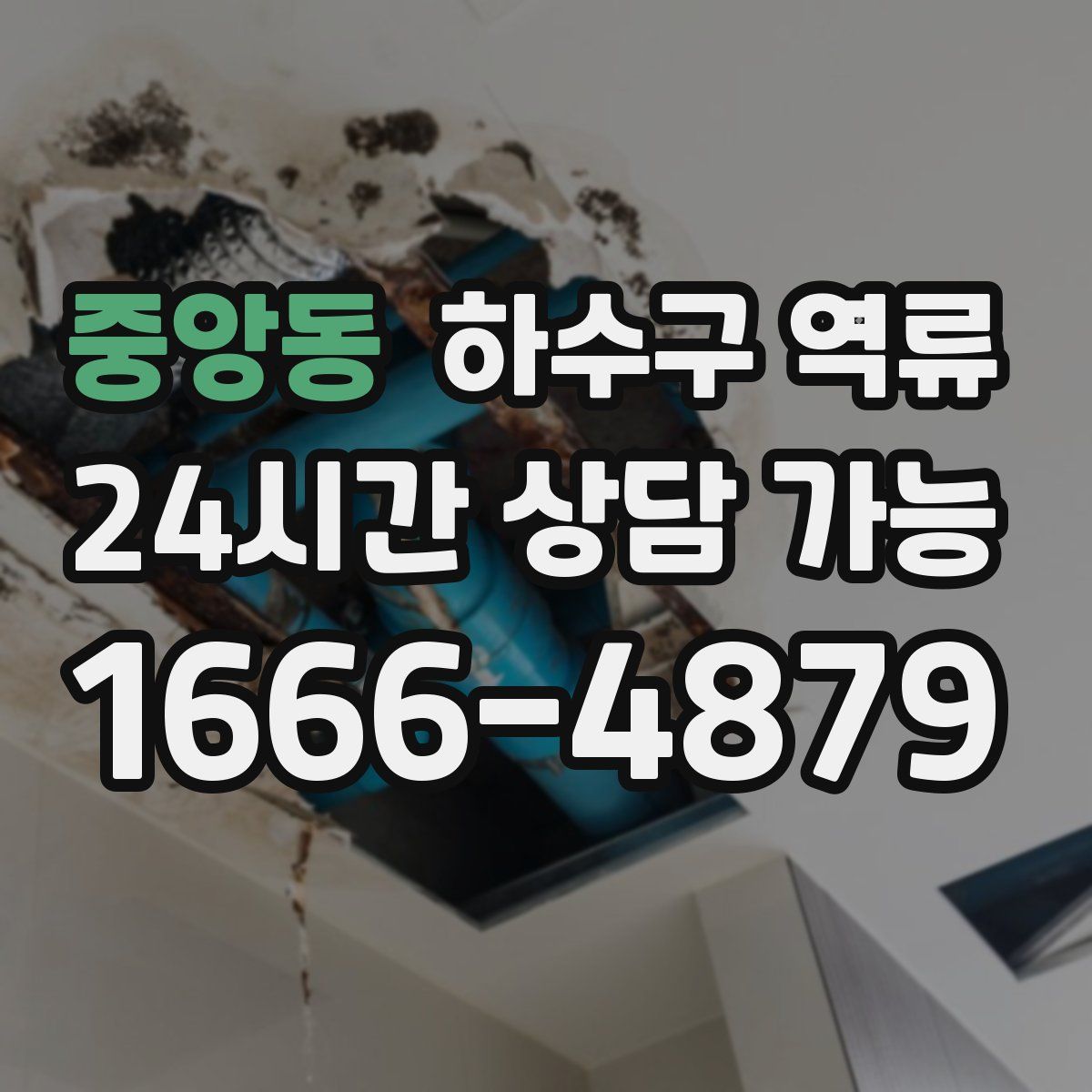 중앙동 하수구 역류