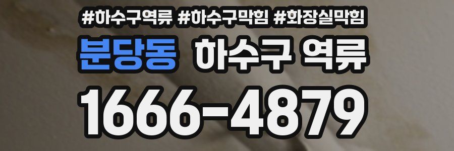분당동 하수구 역류