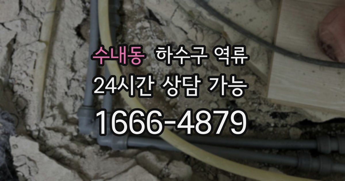 수내동 하수구 역류