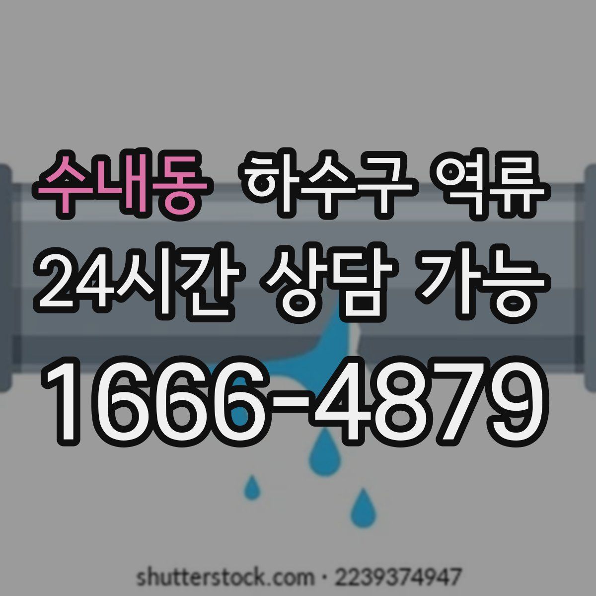 수내동 하수구 역류