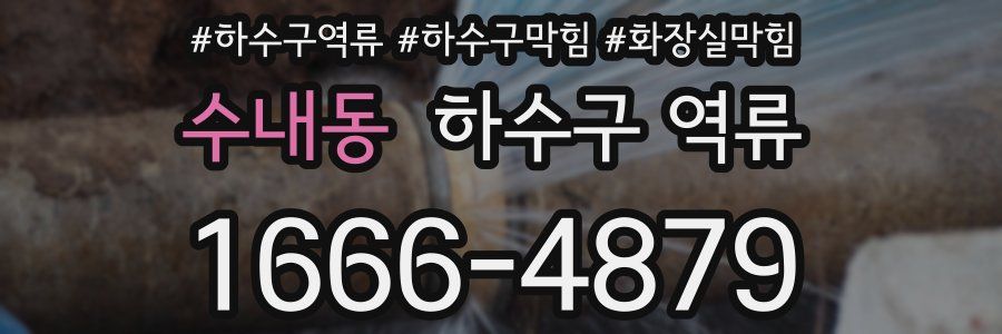 수내동 하수구 역류