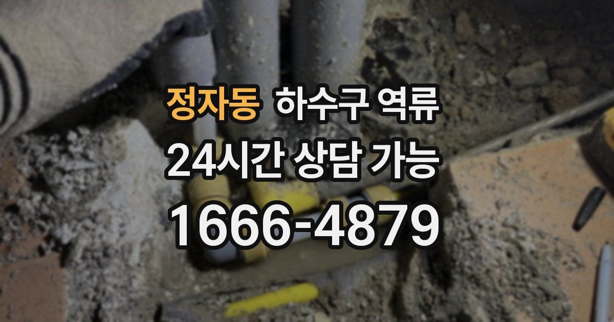 정자동 하수구 역류