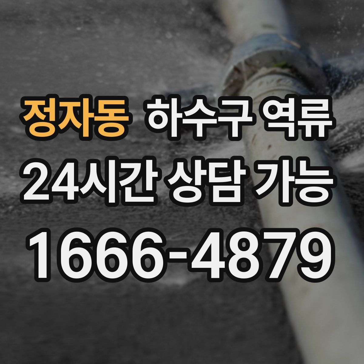 정자동 하수구 역류