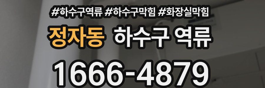 정자동 하수구 역류