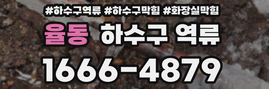 율동 하수구 역류