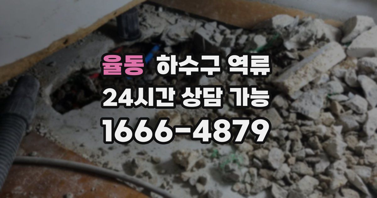 율동 하수구 역류