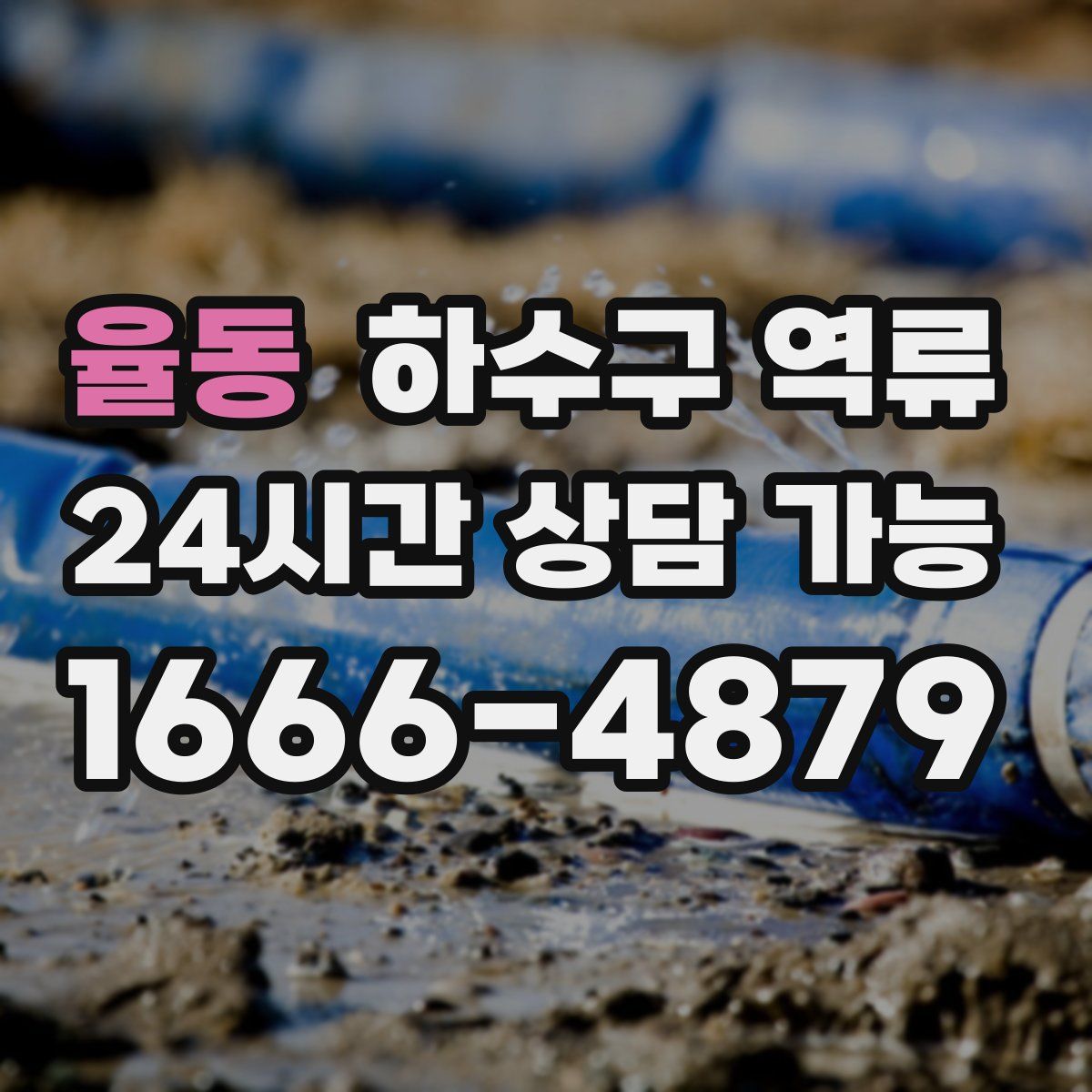 율동 하수구 역류