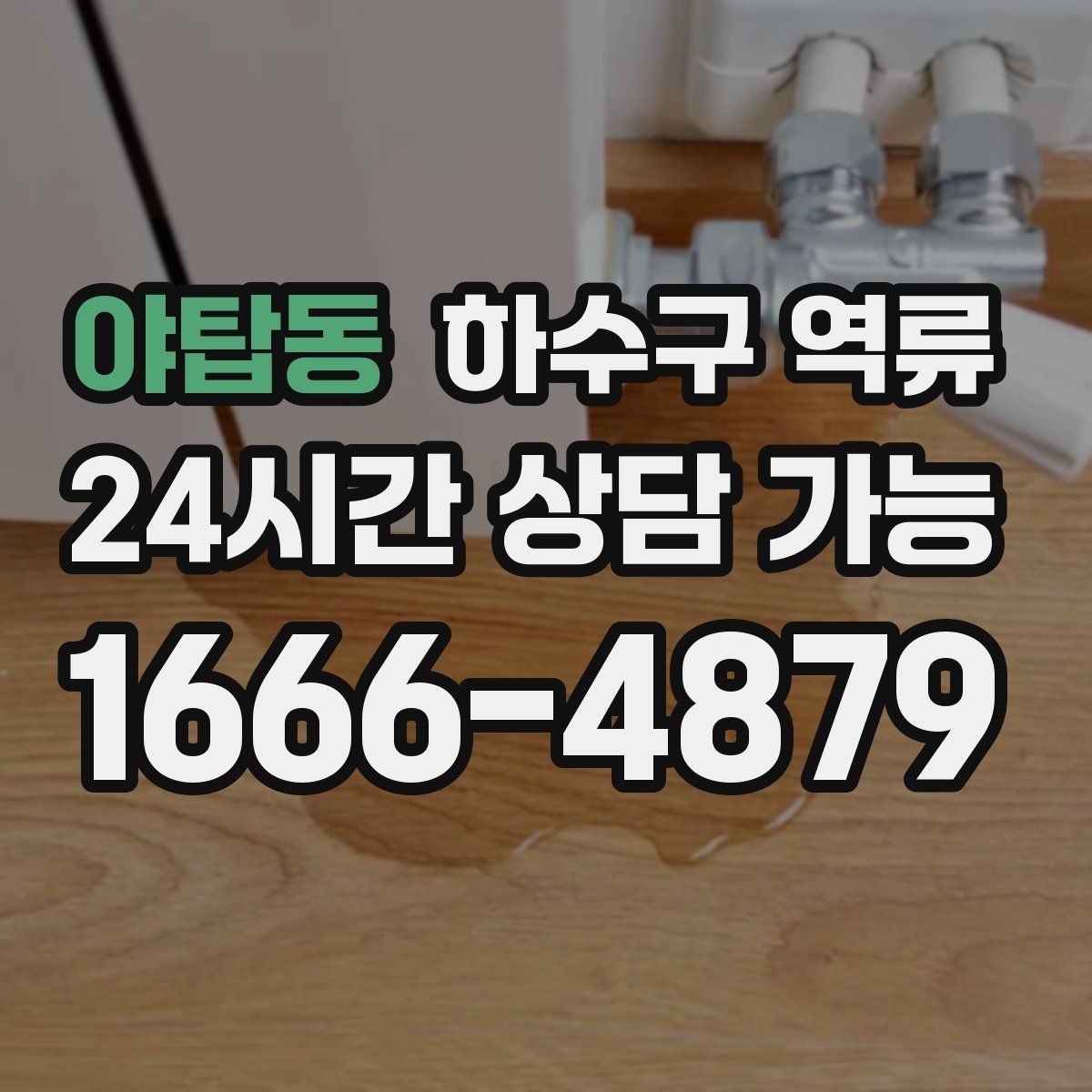 야탑동 하수구 역류