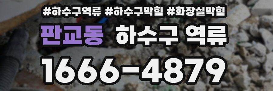 판교동 하수구 역류