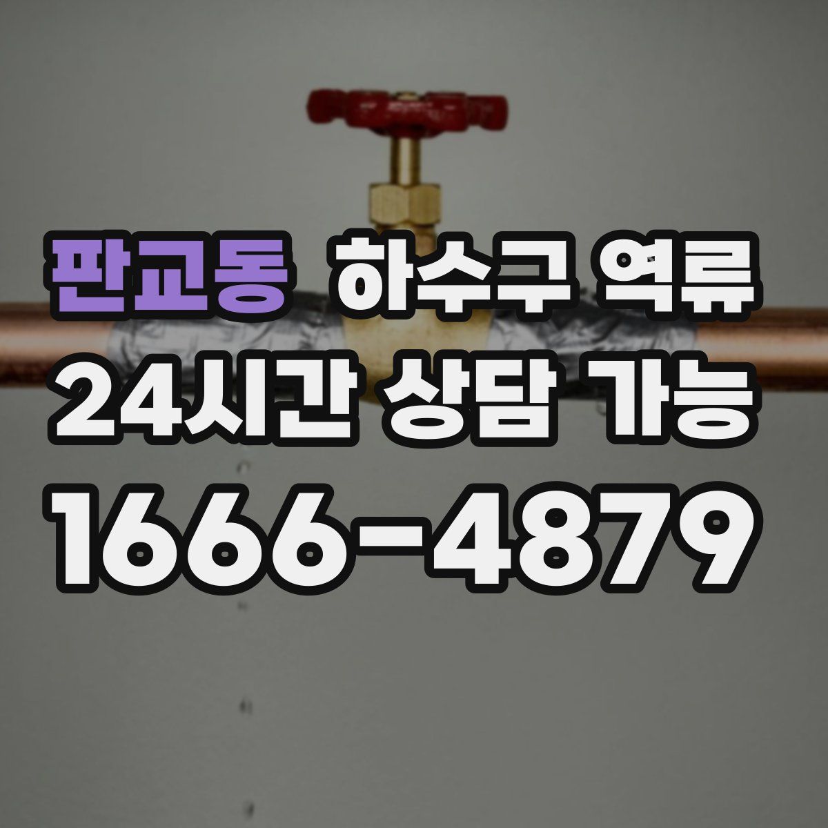 판교동 하수구 역류