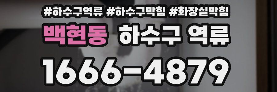 백현동 하수구 역류