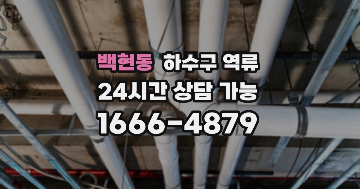 백현동 하수구 역류