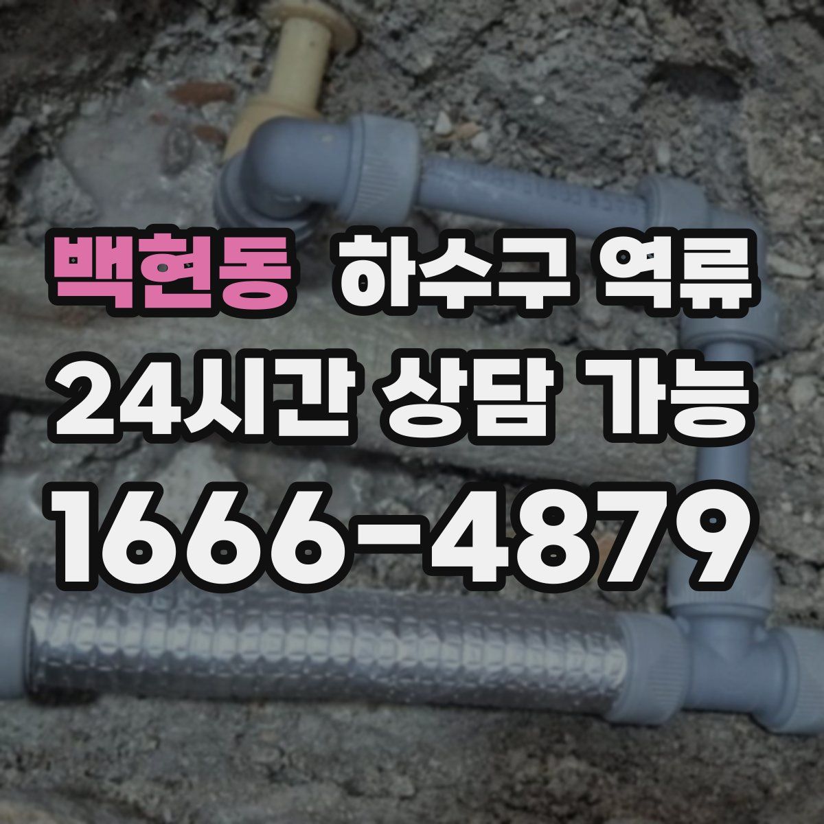 백현동 하수구 역류