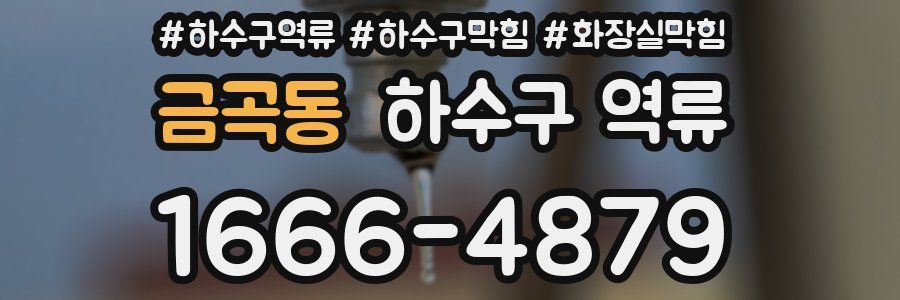 금곡동 하수구 역류