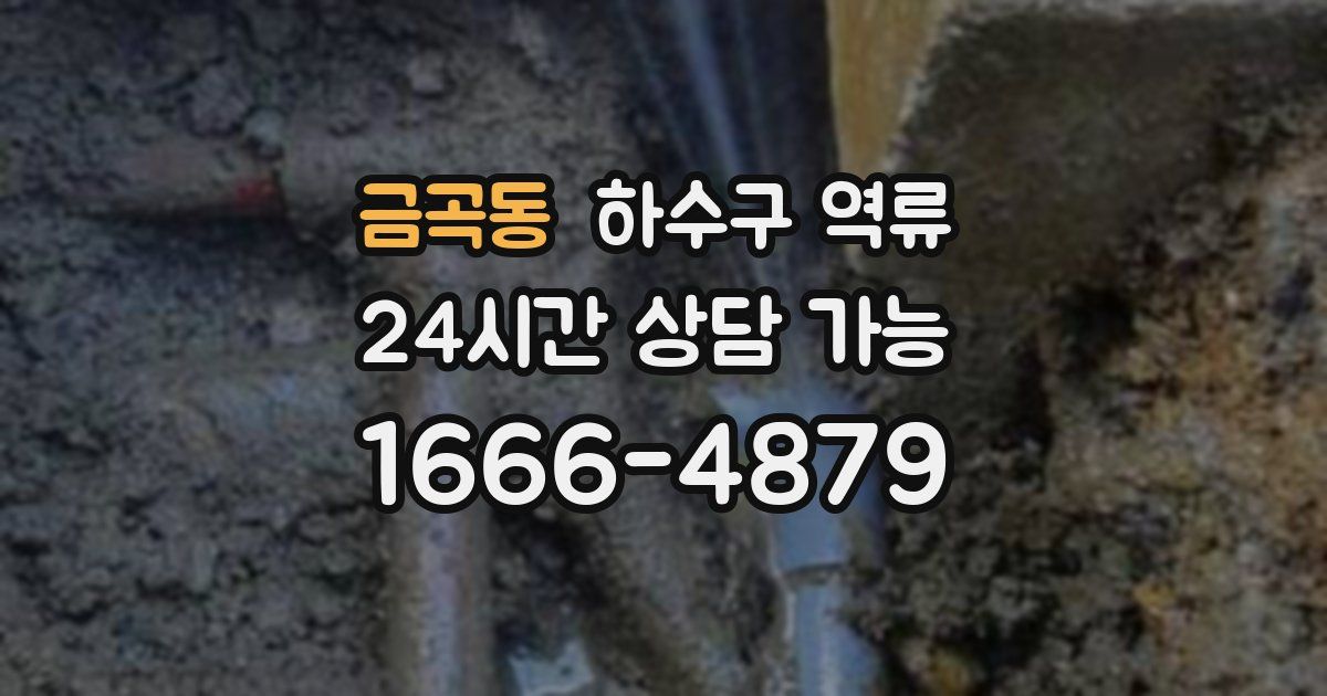 금곡동 하수구 역류