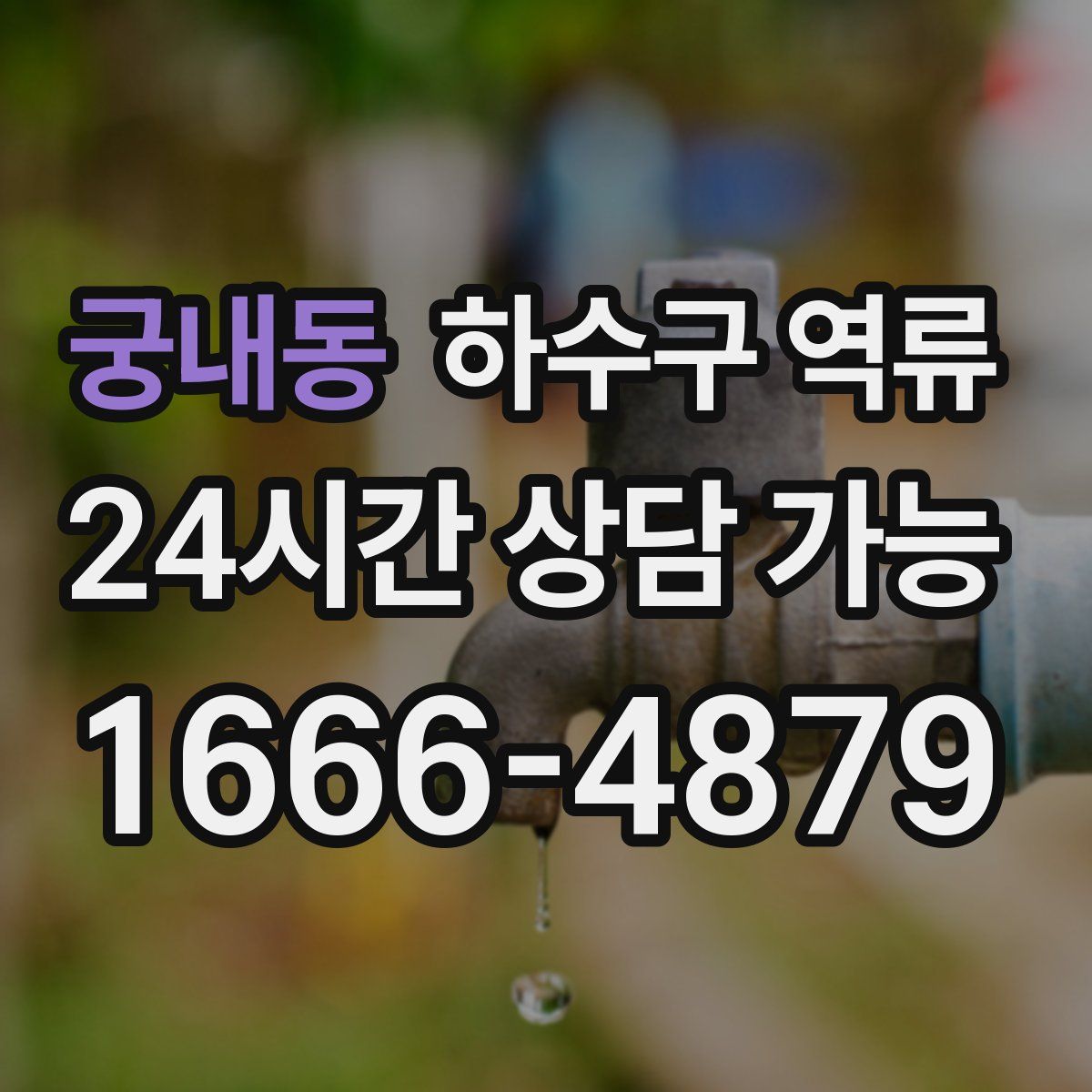 궁내동 하수구 역류