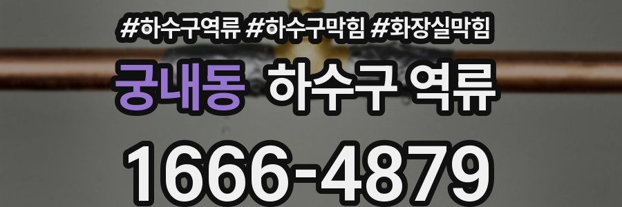 궁내동 하수구 역류