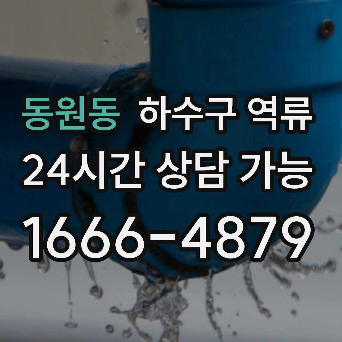 동원동 하수구 역류