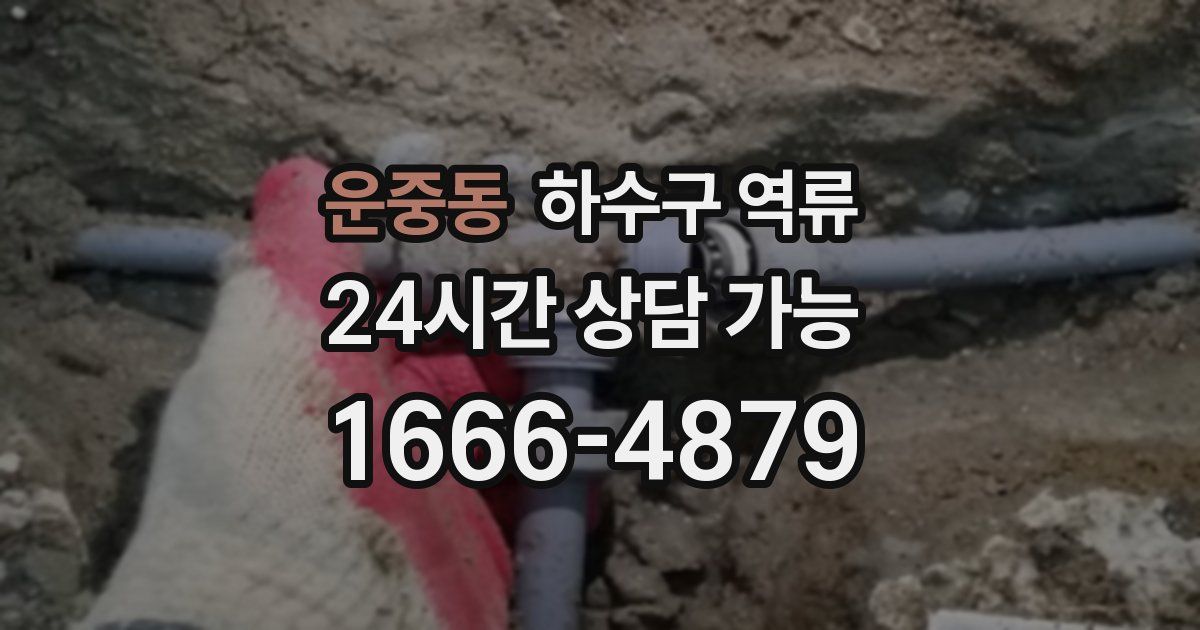 운중동 하수구 역류