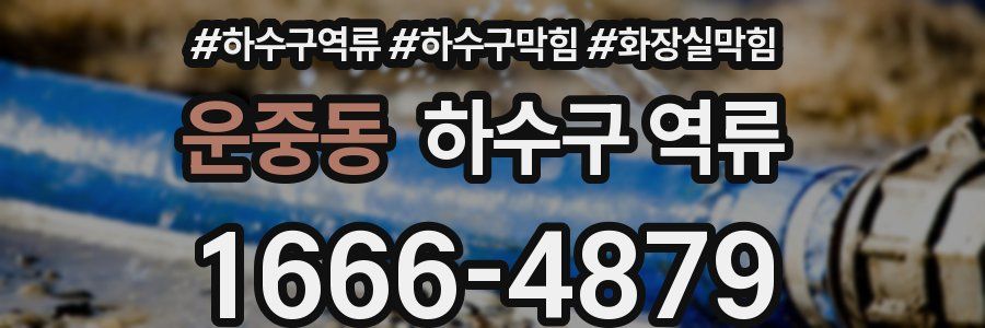 운중동 하수구 역류