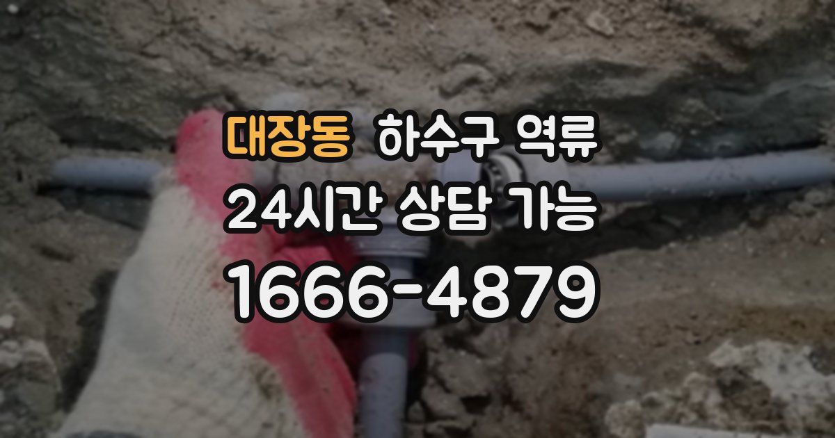 대장동 하수구 역류