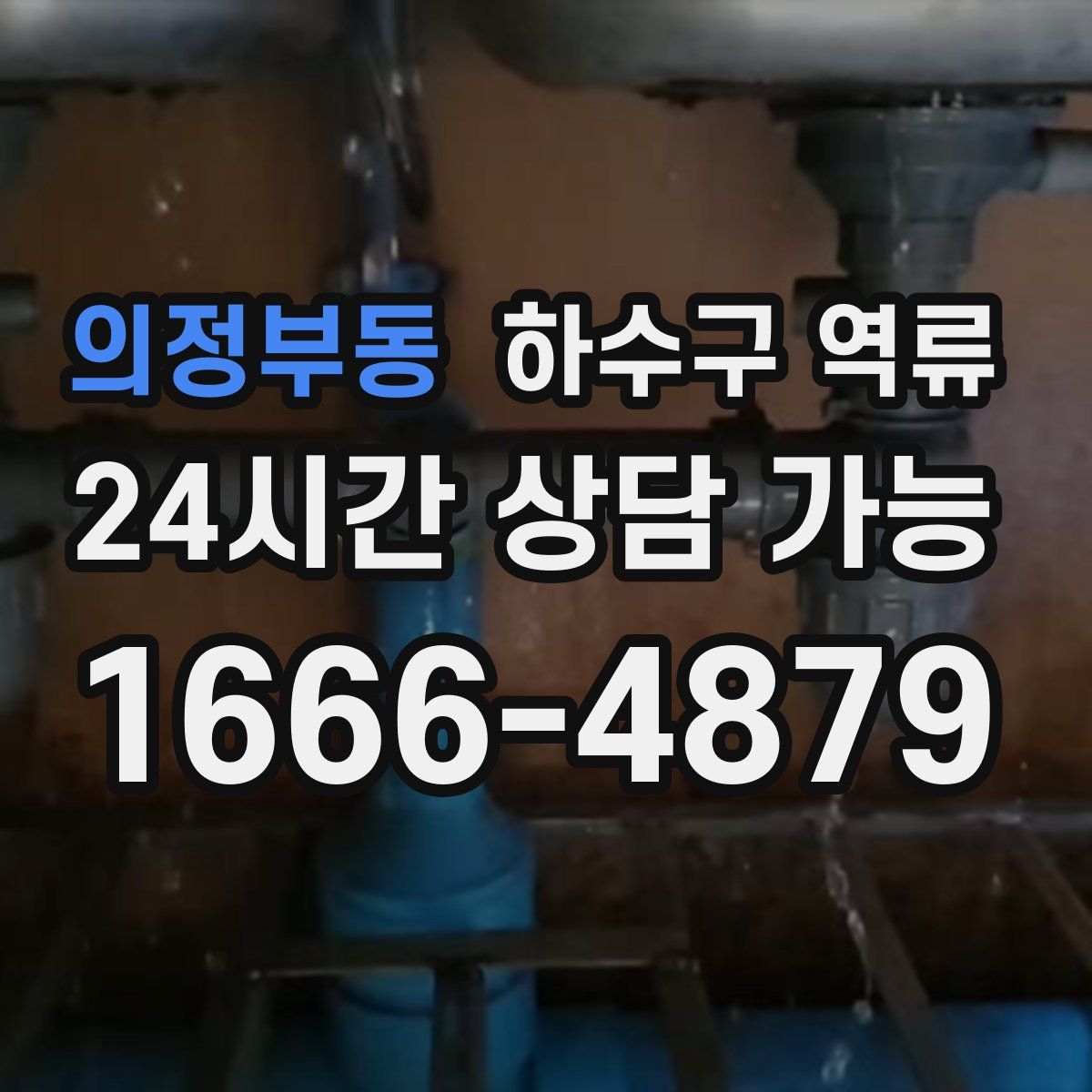 의정부동 하수구 역류