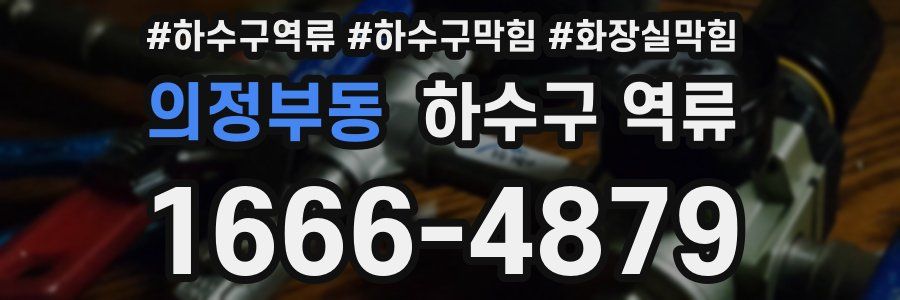 의정부동 하수구 역류