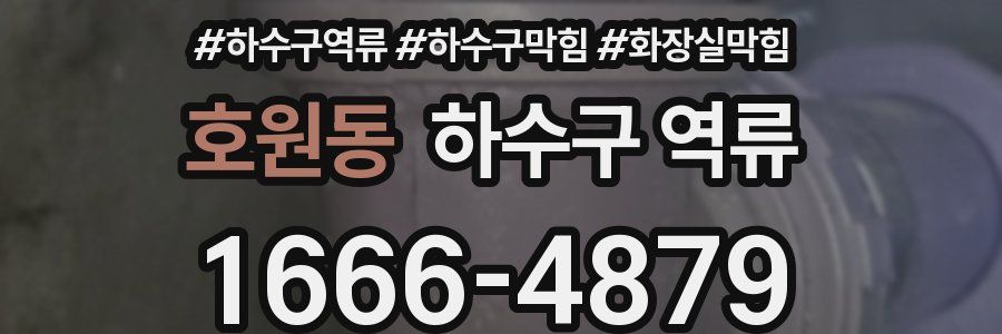 호원동 하수구 역류