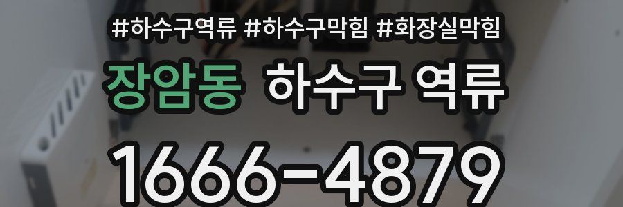 장암동 하수구 역류