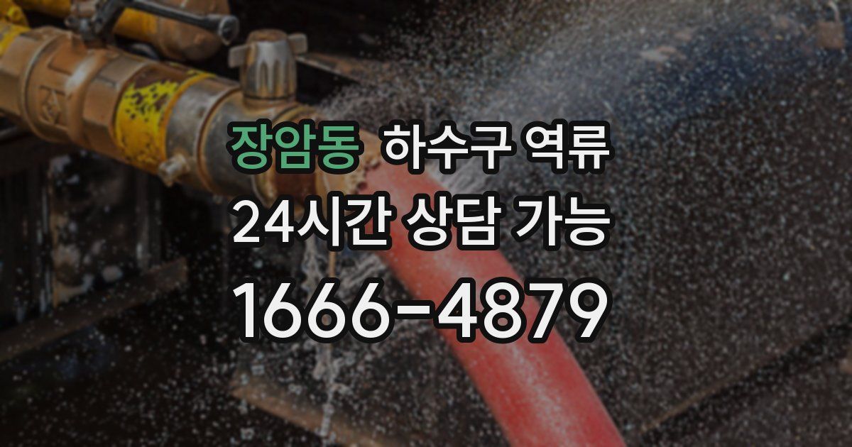 장암동 하수구 역류