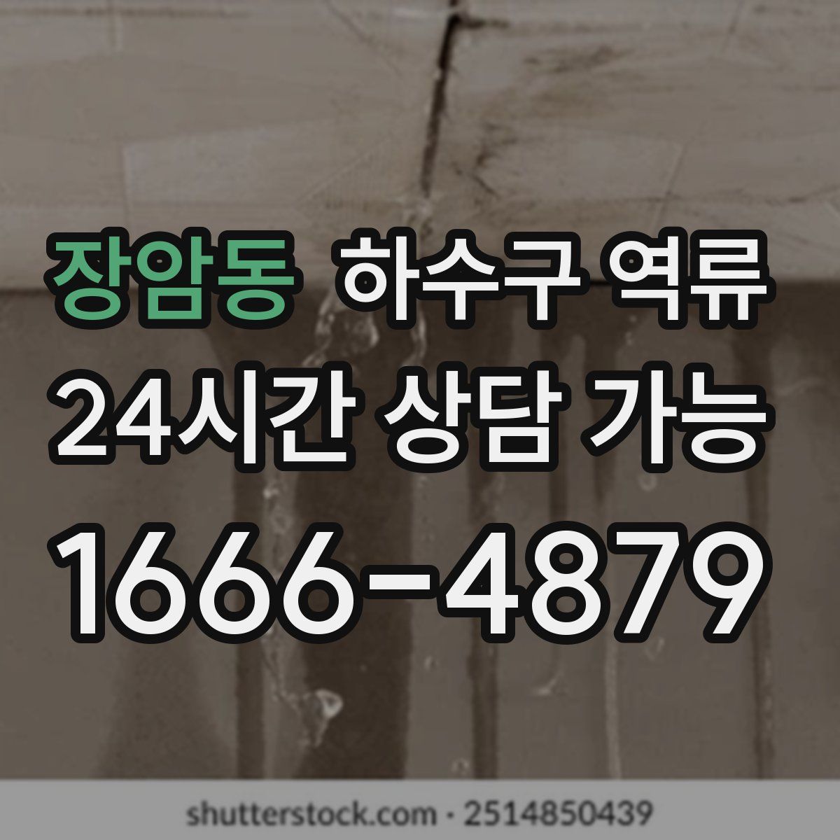 장암동 하수구 역류