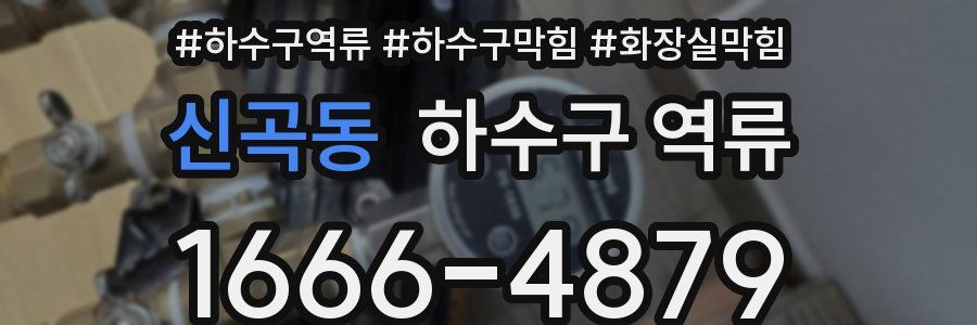 신곡동 하수구 역류