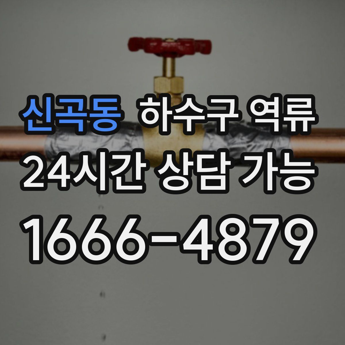 신곡동 하수구 역류
