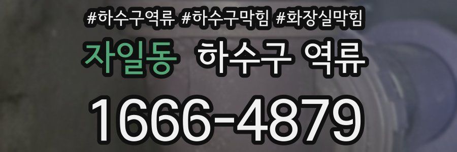 자일동 하수구 역류