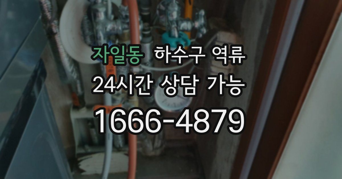 자일동 하수구 역류