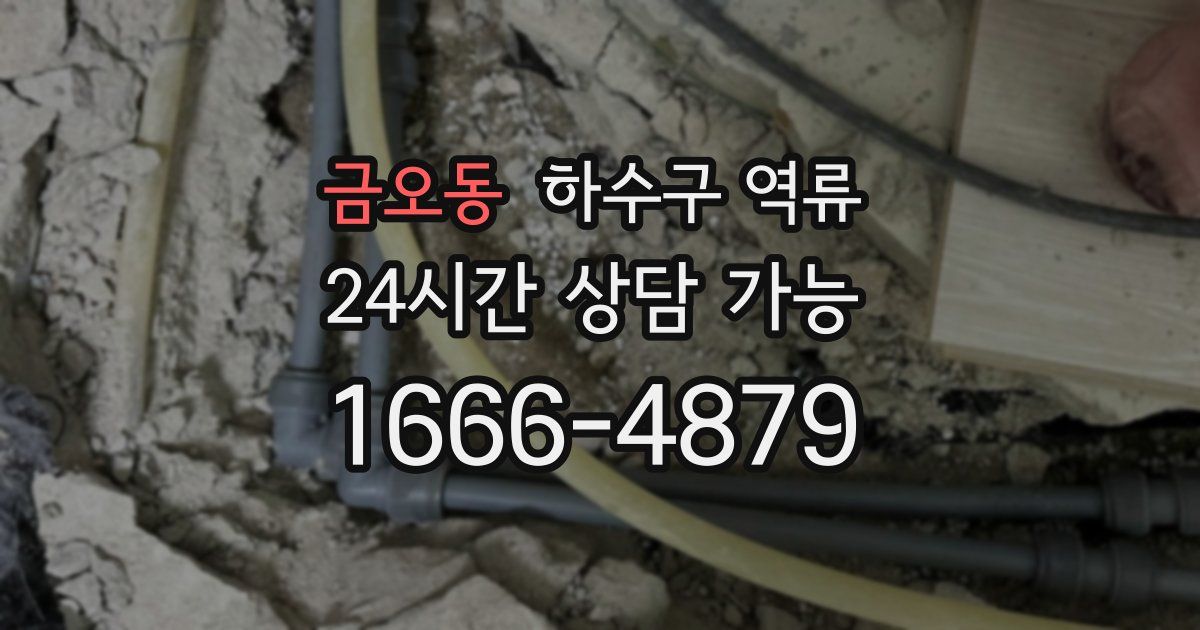 금오동 하수구 역류