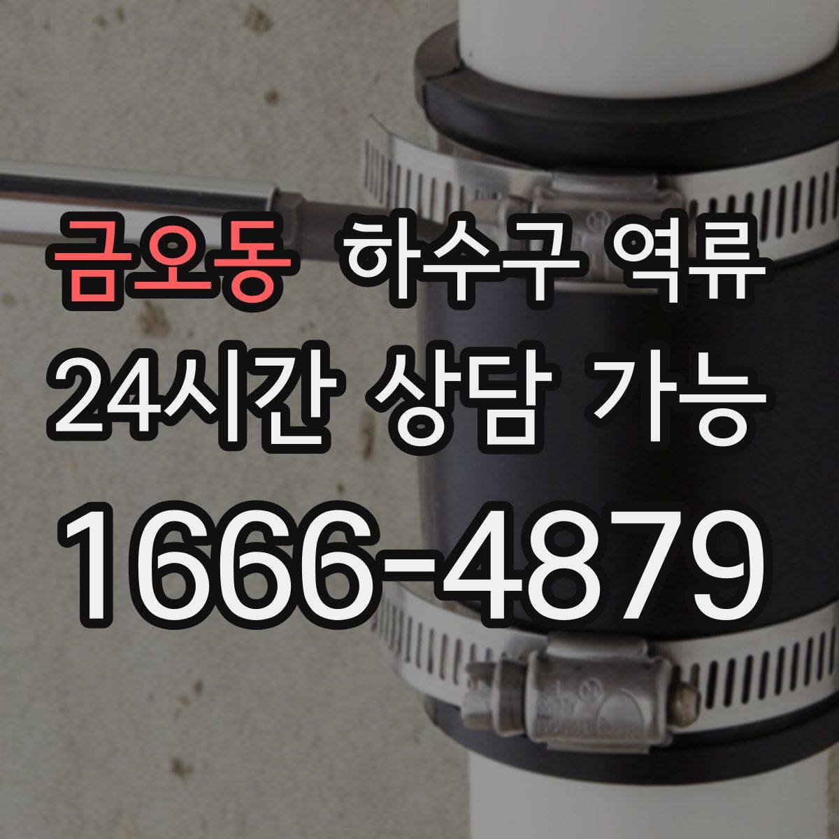 금오동 하수구 역류