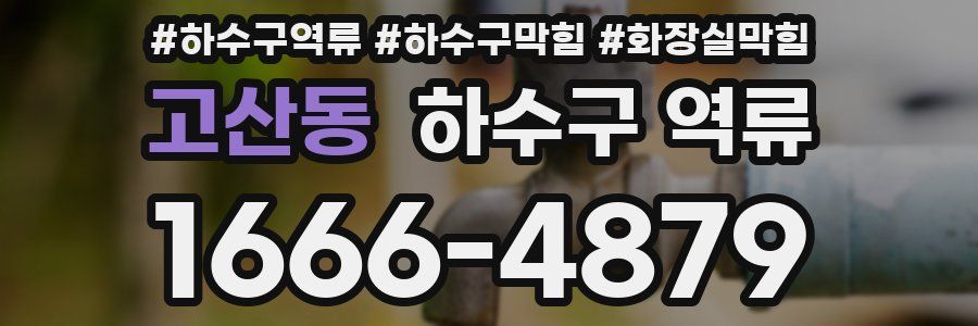 고산동 하수구 역류