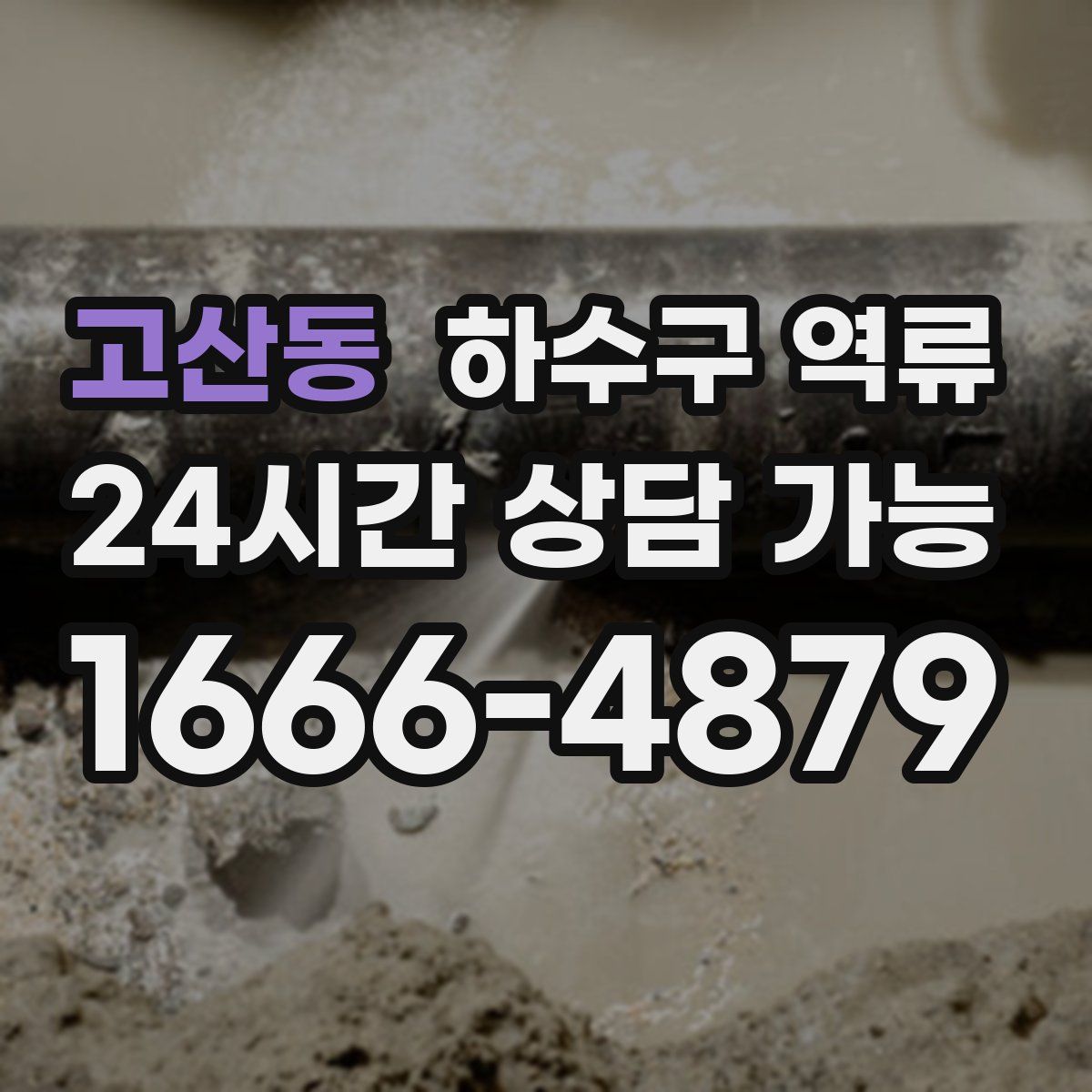 고산동 하수구 역류