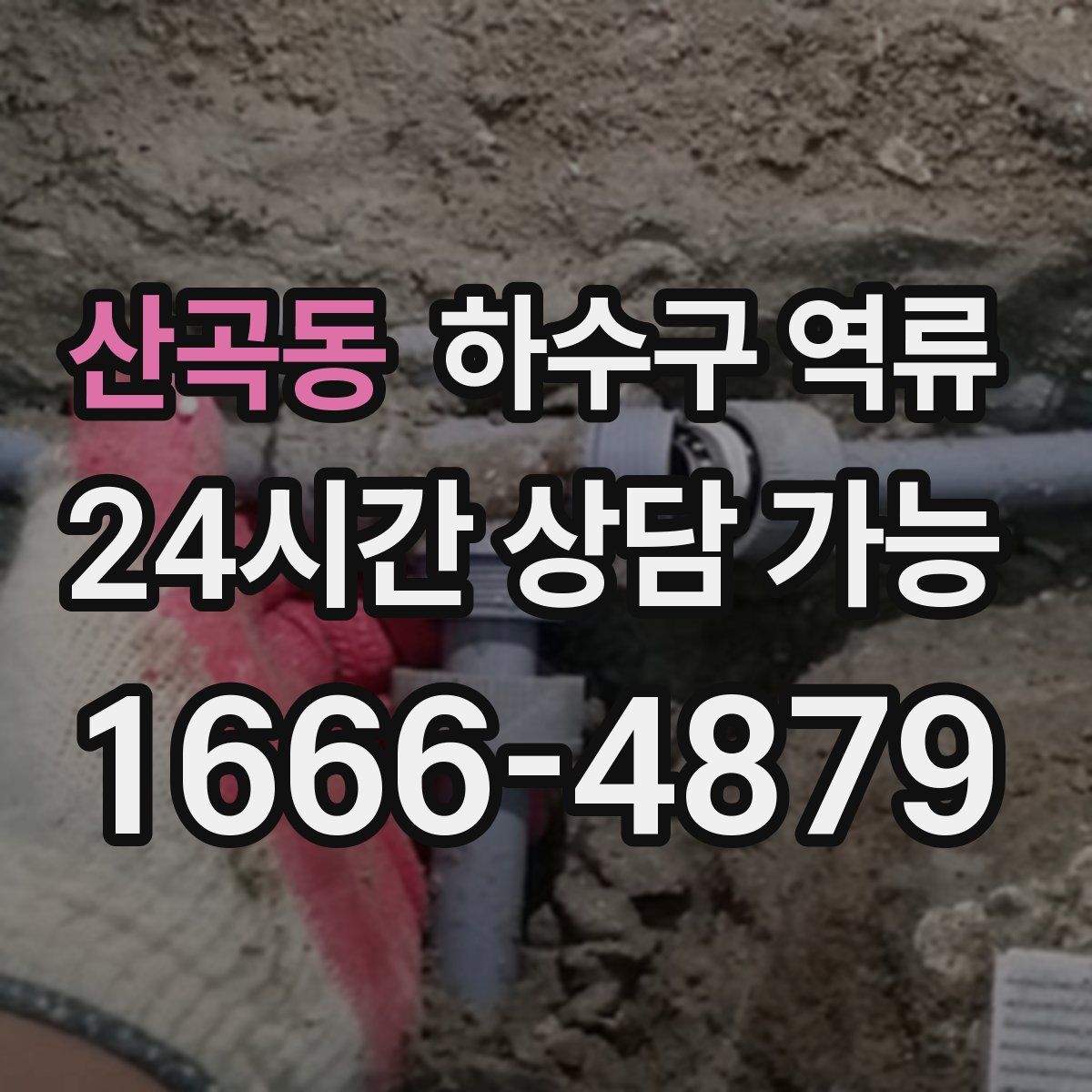 산곡동 하수구 역류