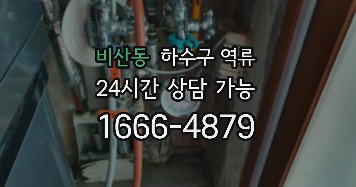 비산동 하수구 역류