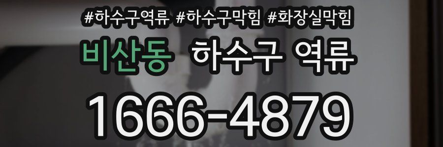 비산동 하수구 역류