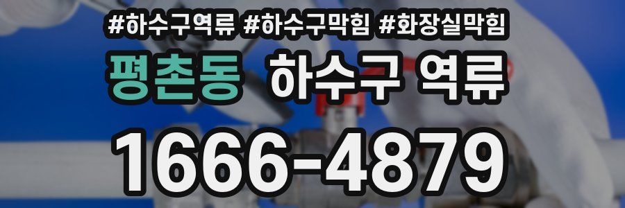 평촌동 하수구 역류