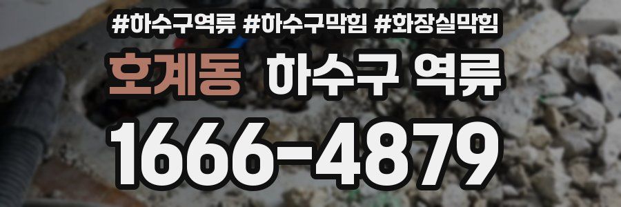 호계동 하수구 역류