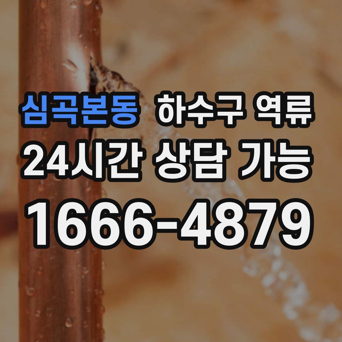 심곡본동 하수구 역류