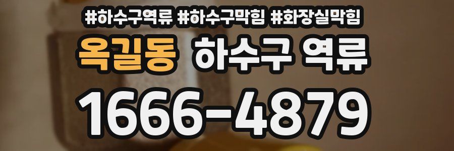 옥길동 하수구 역류