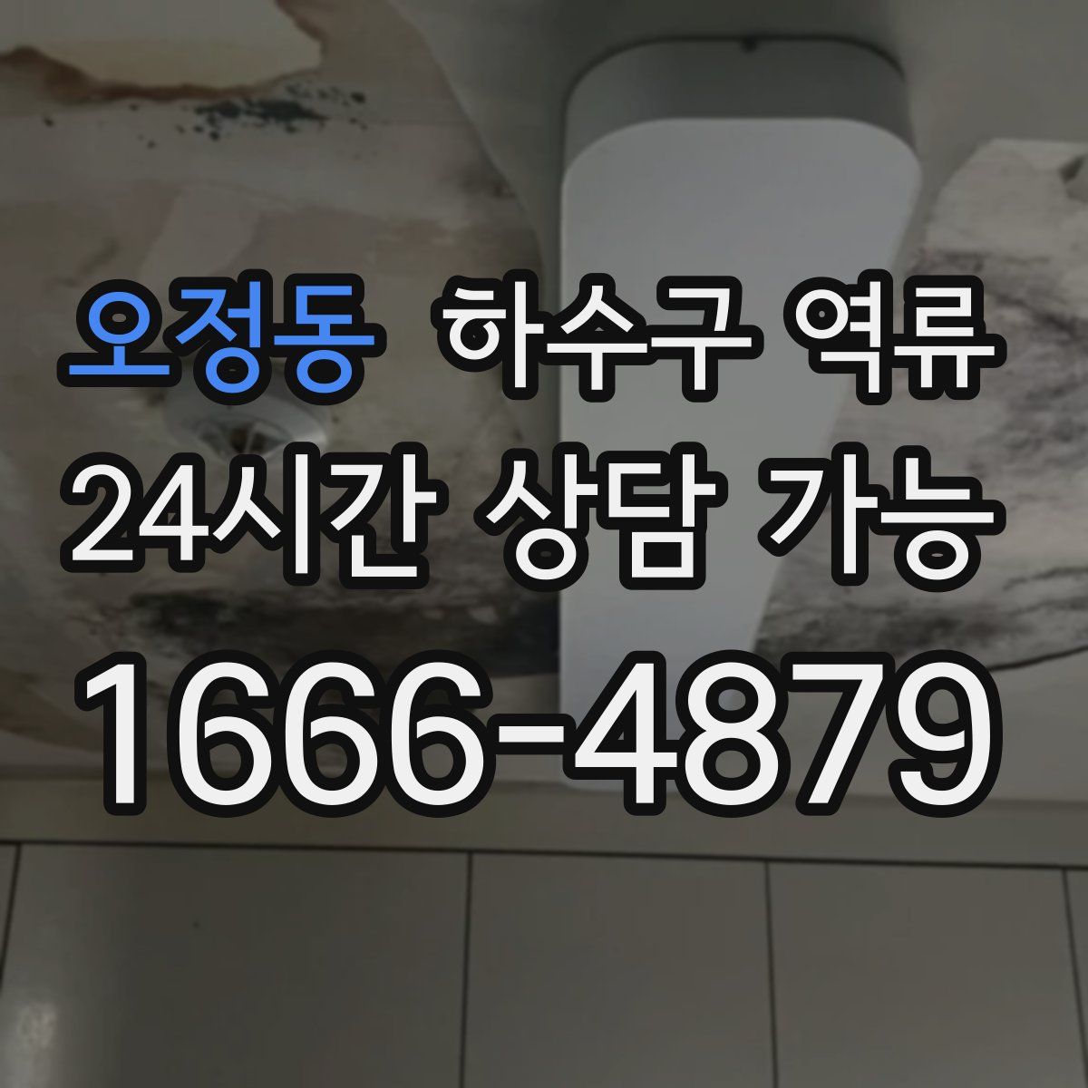 오정동 하수구 역류